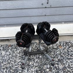 Bowflex Dumbbells 1090 And Stand Storage 