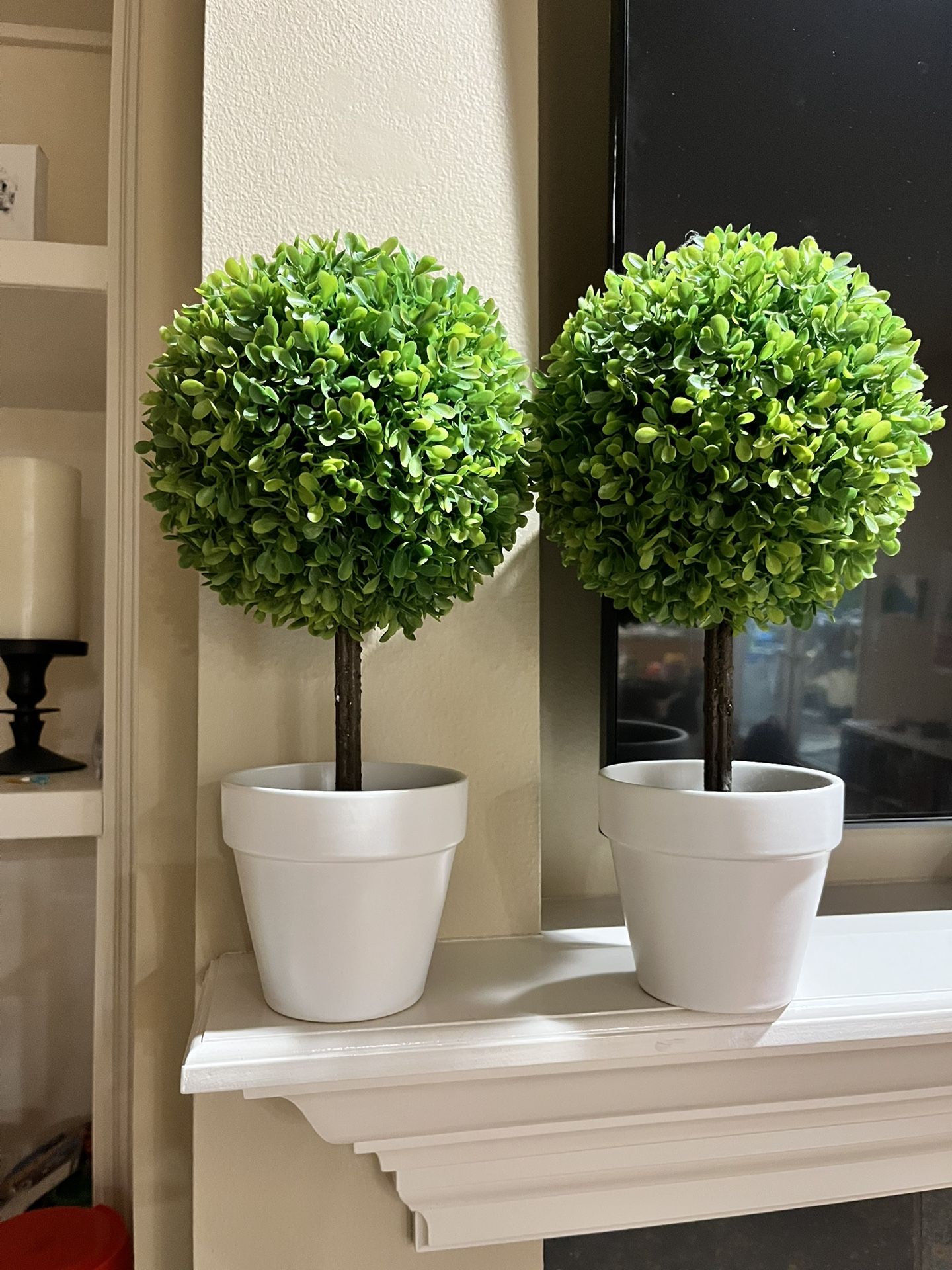 Faux Plants