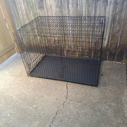 Dog Kennel
