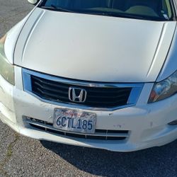2008  Honda Accord Ltd
