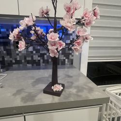 Cherry Blossom Tree