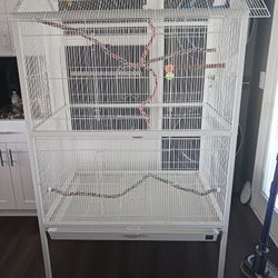 Huge Bird Flight Cage 