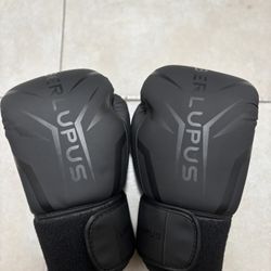 Boxing Gloves Mma