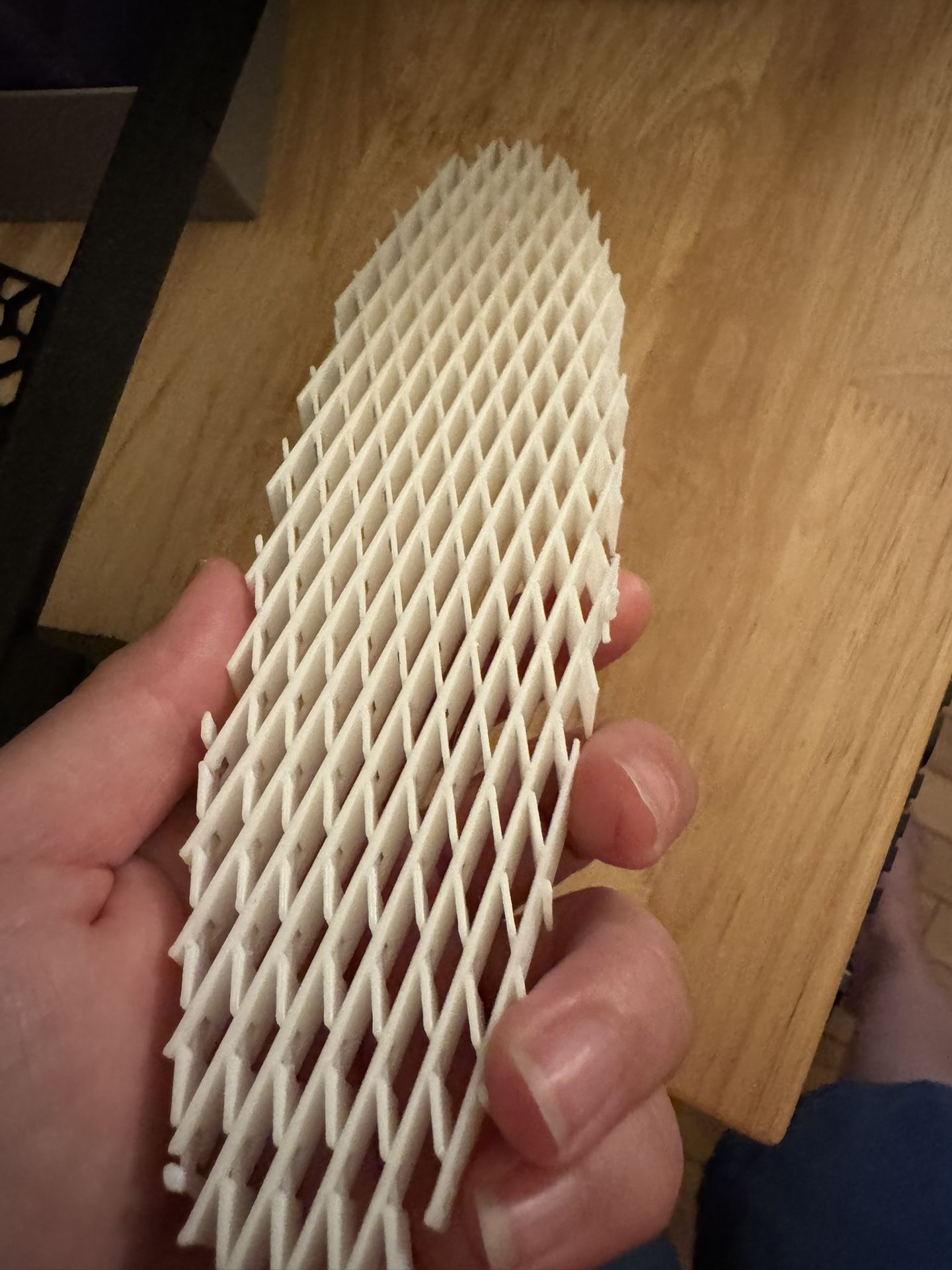 Fidget Toy/Fidget Worm