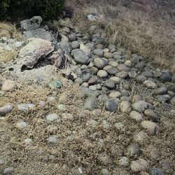 Rocks