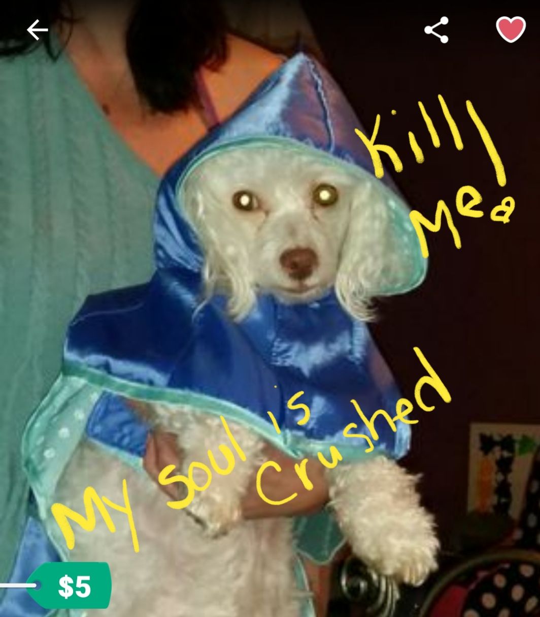 New medium sized doggie raincoat