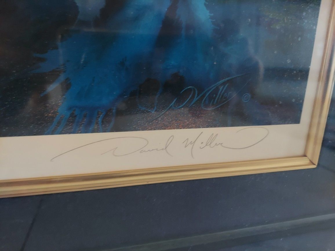 David Miller Vivid Splendor Signed Lithograph for Sale in