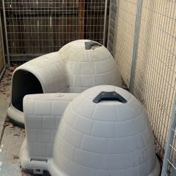Dog Igloos