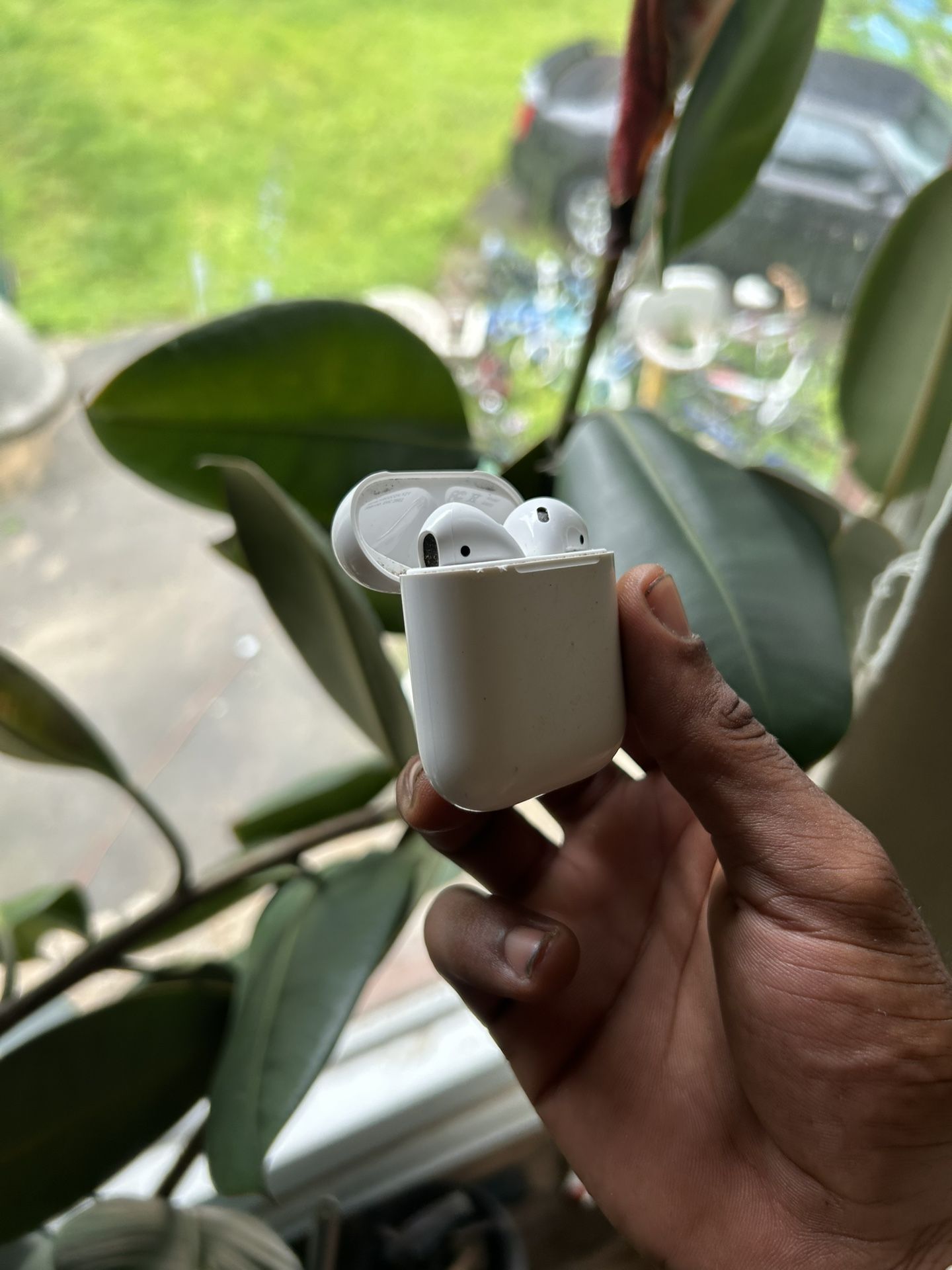 Apple Earbuds
