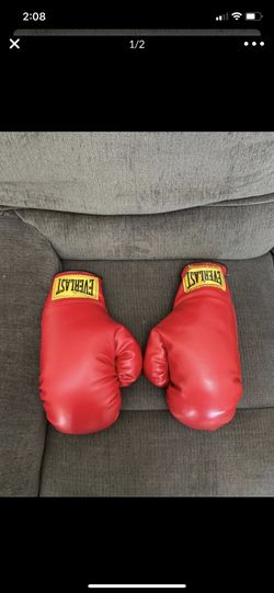 Everlast boxing gloves