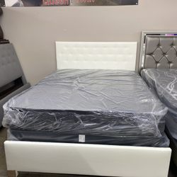 Queen Bed With Mattress 