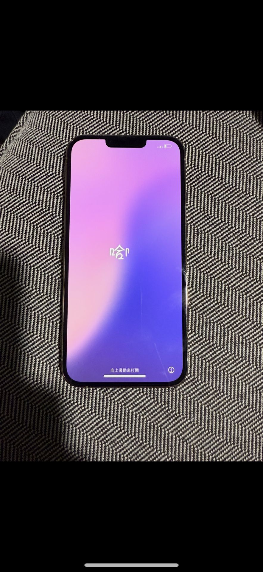 iPhone 13 Pro Max