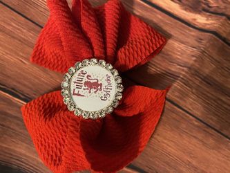 Gryffindor hair bow