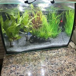 AQUA TOP 8 GALLON FISH TANK!