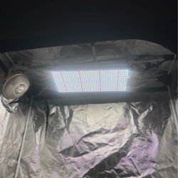 2x4 complete grow set up