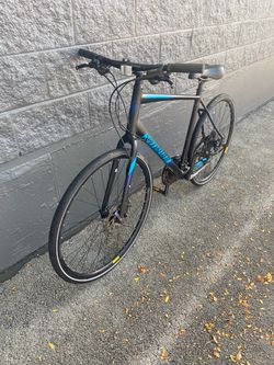 HIGH QUALITY : SPECIALIZED : HYBRID : LARGE