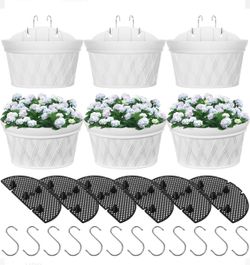 Hanging planters 
