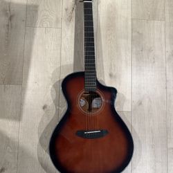 Breedlove Guitar 