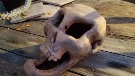 Skull