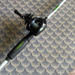 Daiwa Tatula CT and Lew’s Mach 1 Swim bait Rod