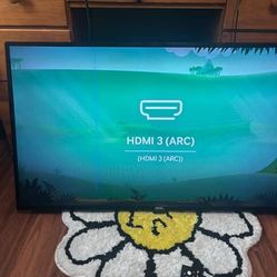 ONN Roku Tv 
