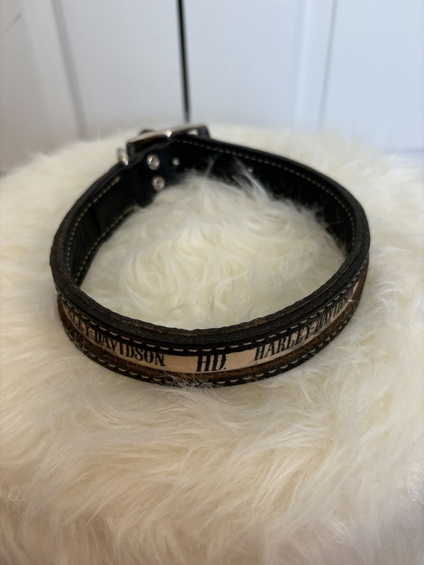 Harley Davidson Leather Dog Collar