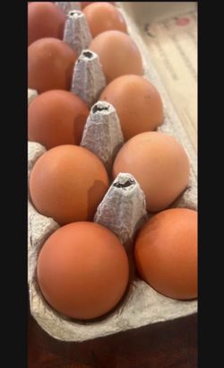 Pasture Raised Eggs 