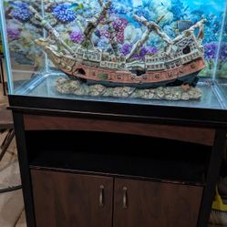Aquarium With Stand 