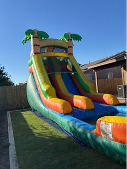 Bounce slide and bounce house
