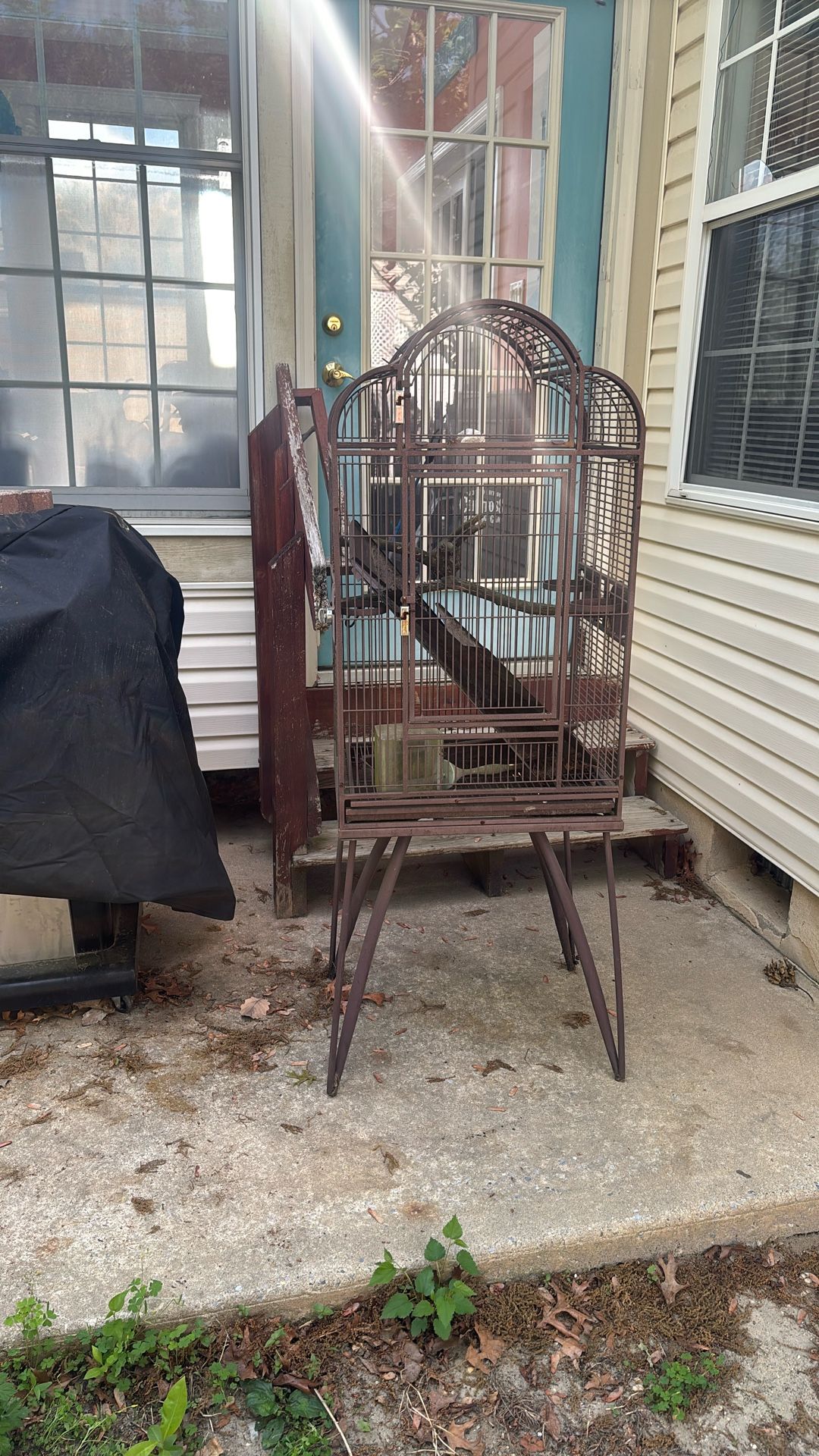 Big Bird Cage