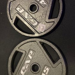 45lbs Steel Plates