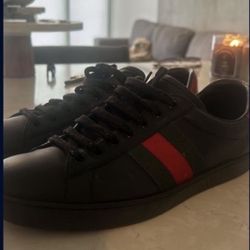 Gucci Sneaker