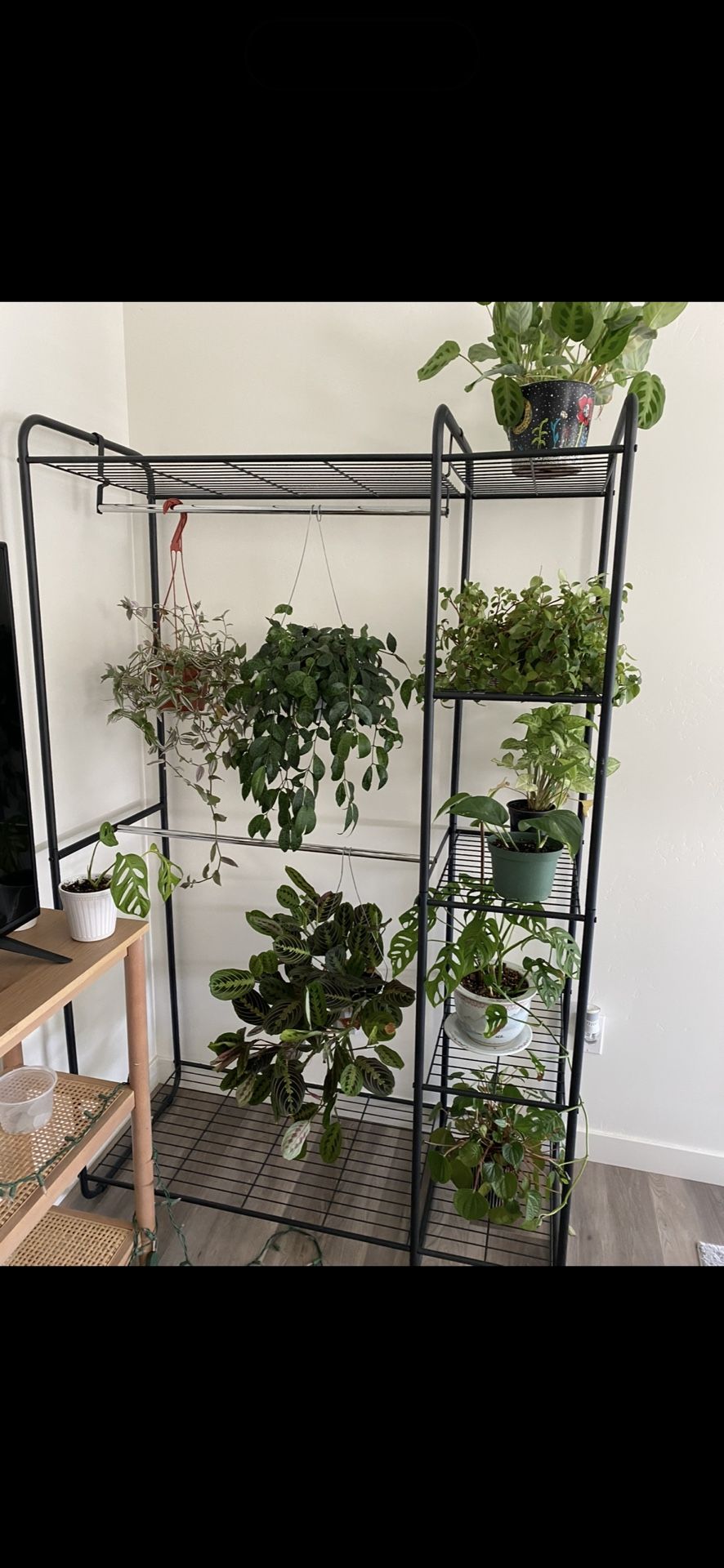 External Closet/plant Stand