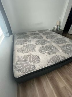 SEALY EDGEFIELD KING MAT