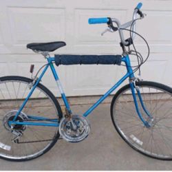 Schwinn Chicago 1970