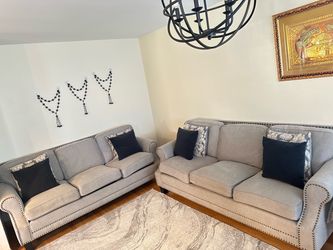 Elegant Gray Sofa _$400