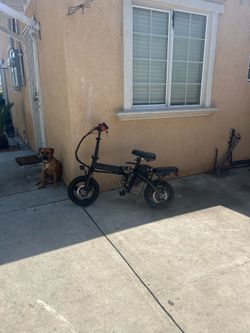 E bike