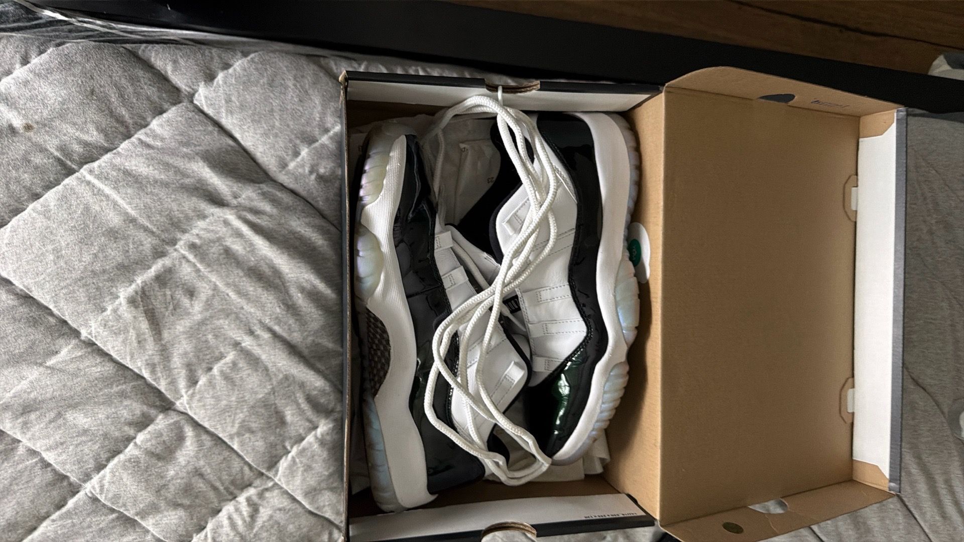 Used Jordan 11 lows