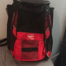 Baseball Bag 