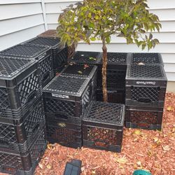 Milk Crates