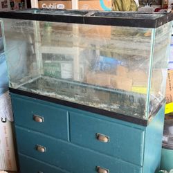 29 Gallon Fish Tank Aquarium 