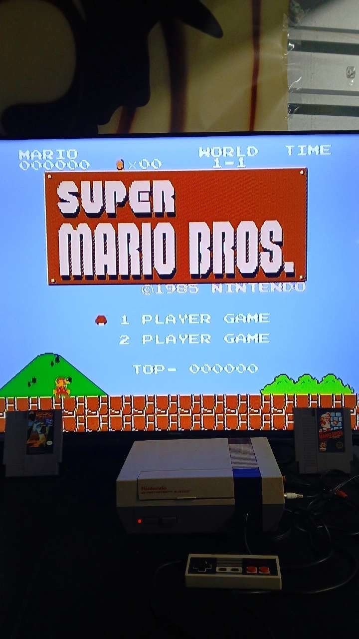 Nintendo Entertainment System
