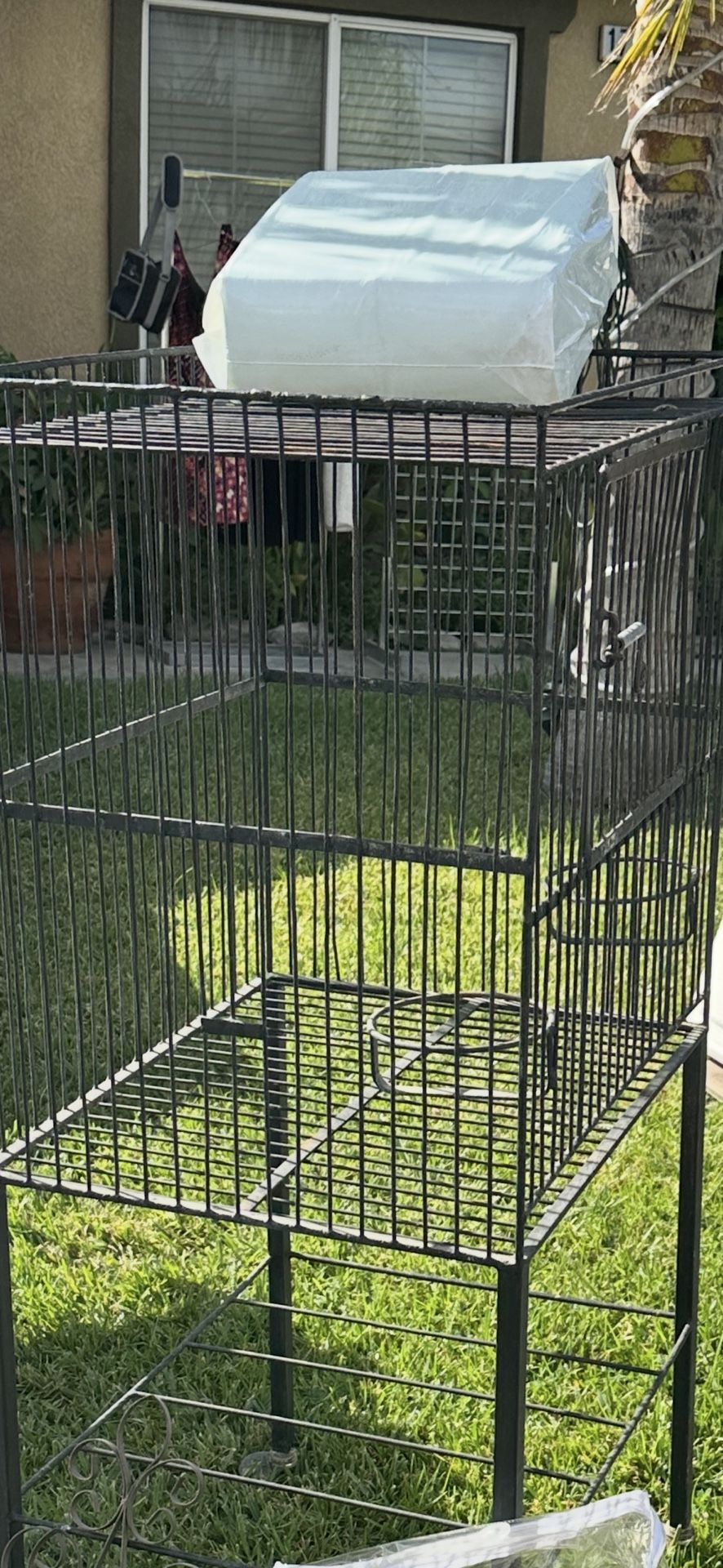 Bird Cage