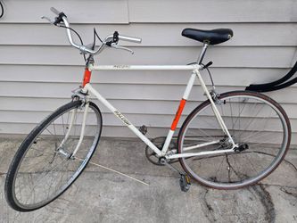 Raleigh Record