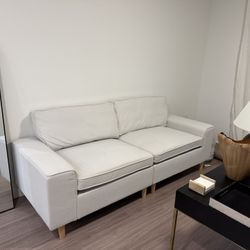 Sofa/Couch NEED GONE ASAP