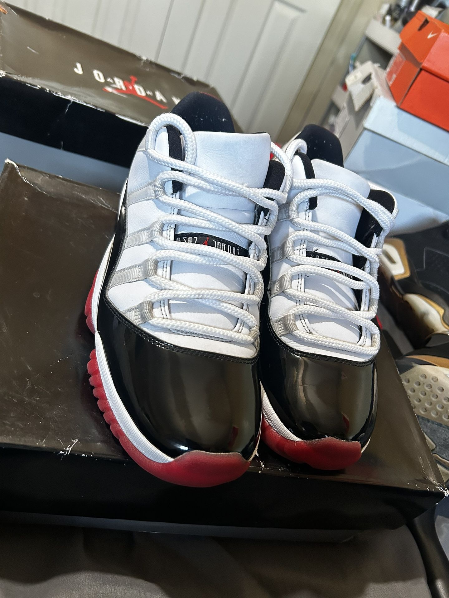 Jordan Retro 11 Lows