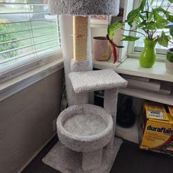 Cat Tree