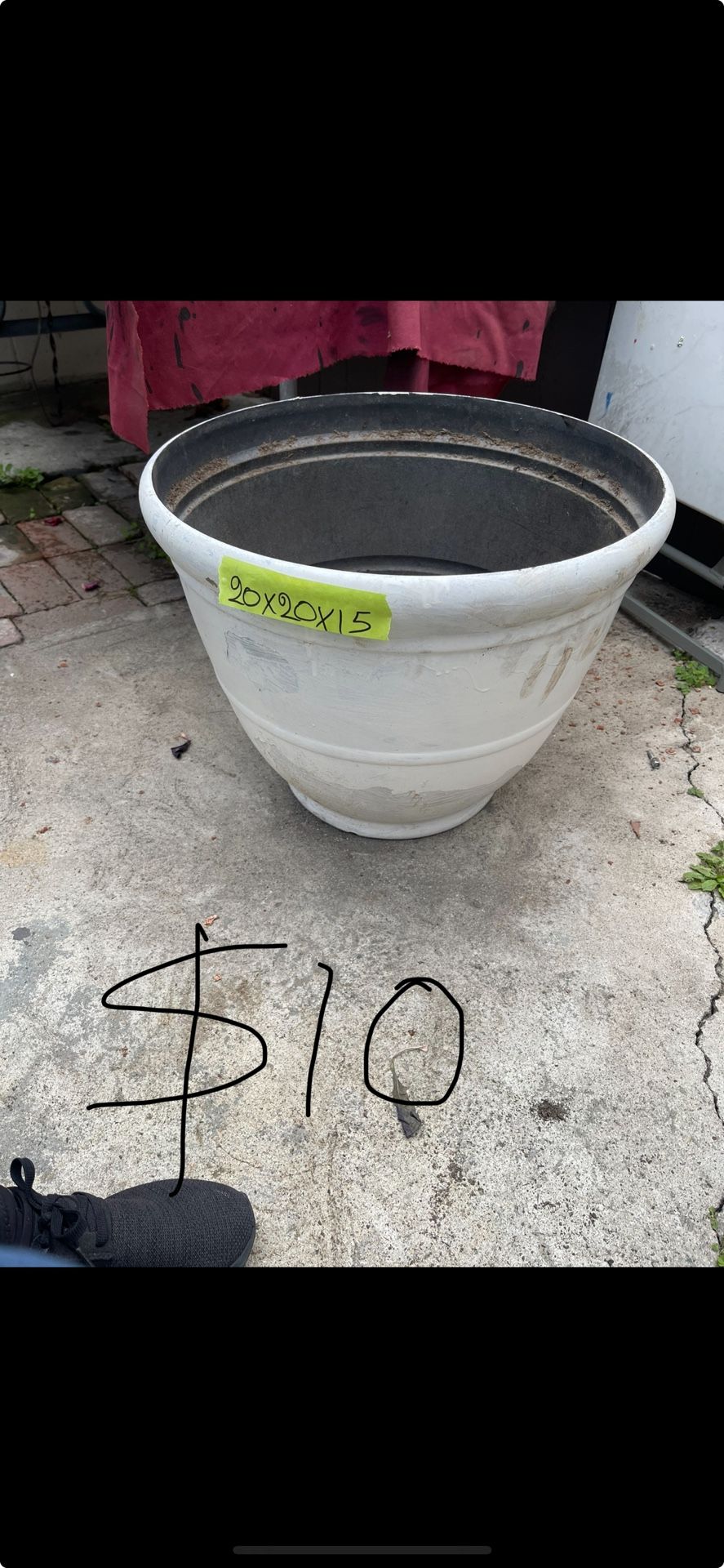 Excellent Condition, Pots  And Succulent Plants