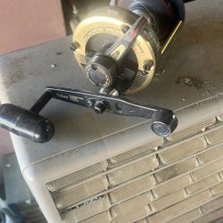 Salt, water, fishing reel