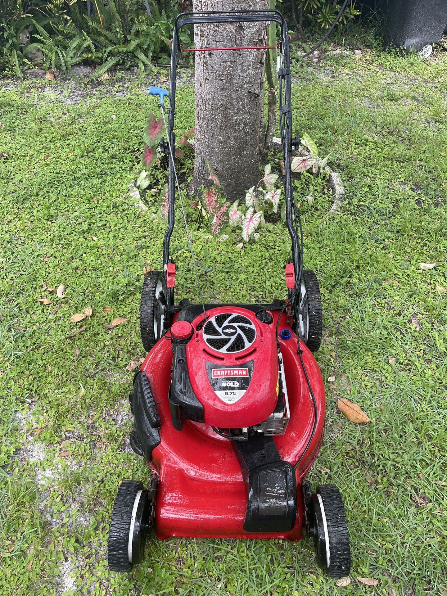 Self Propelled High Wheel Lawn Mower Craftsman 22” Cut With A 6.75 HP Engine